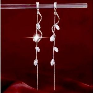 Long Dangling Earrings